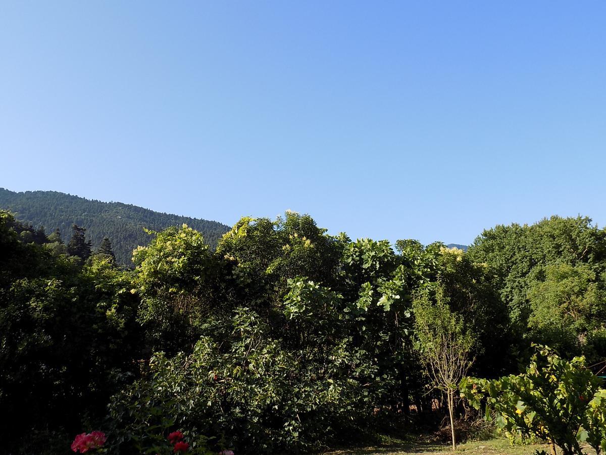 Guesthouse Eleftherios Kalavryta Exterior foto